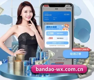 半岛体育 APP(BANDAO SPORTS)
