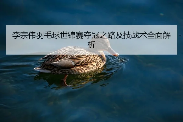 李宗伟羽毛球世锦赛夺冠之路及技战术全面解析 | BANDAO SPORTS